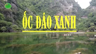 Động Am Tiên Ninh Bình VIEW 4K | Khám Phá Vẻ Đẹp Tuyệt Tình Cốc