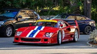 Street Legal Ferrari F40 LM driving in the Swiss Alps - INSANE SOUND!