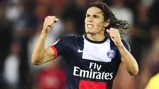 Edinson Cavani | PSG | 2013-2014 Season Goals |