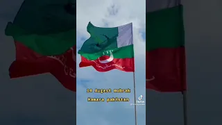 PTI 14 August TikTok video #shortvideo