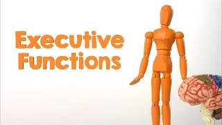 Executive-Function Skills: Important Skills for Childhood Development