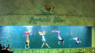 AMAZING! Atraksi Mermaid (4 Putri Duyung) di Aquarium Ocean Dream Samudera Ancol