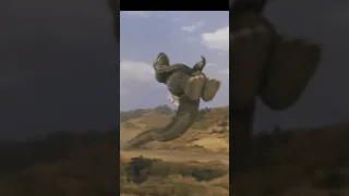 Heisei Godzilla Gets Dropkick By Showa Godzilla