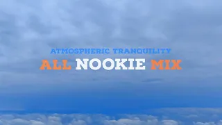 Atmospheric Tranquility: All Nookie Mix (2023)
