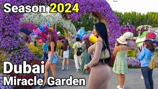 Dubai Miracle Garden 2024 🇦🇪 The Most Beautiful Gardens in the World