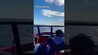 Триера 540 ладожский тест драйв мотор 115🚤🚤⛵🛥️🚤🚤