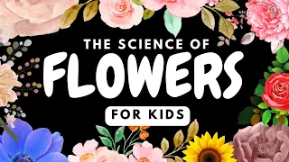 Science of Flowers For Kids by Little Lab | Educational Videos for Toddlers