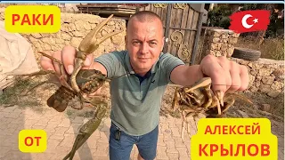 ТУРЦИЯ. АЛЕКСЕЙ КРЫЛОВ. Личный видеооператор! Покупаем раков.