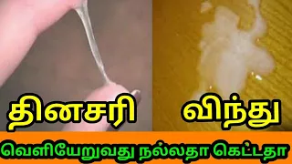 தினசரி விந்து வெளியேறுவது நல்லதா கெட்டதா? home remedies in tamil |