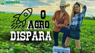 ADSON & ALANA - O AGRO DISPARA (O agro não para)  - Clipe Oficial #agro #sertanejo