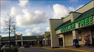 Жизнь в США, Все по Одному Доллару (Dollar Tree) 2017