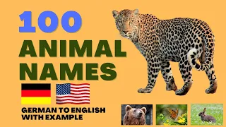 100 German Animal names with  examples | Tiere Namen in Deutsch
