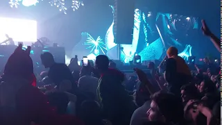 Armin van Buuren Trolling the crowd at Tomorrowland Winter. (Garden of Madness)