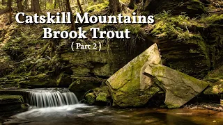 A Perfect Day in the Catskills (p2) Fly Fishing for Native Brook Trout