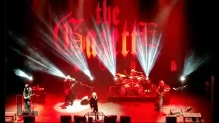 Rocking out to the Gazette live in concert | VLOG