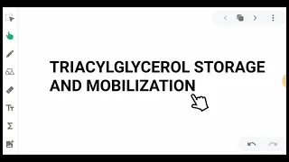 TRIACYLGLYCEROL STORAGE AND MOBILIZATION