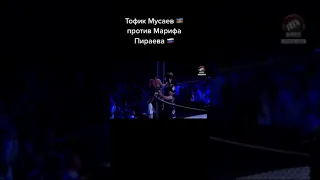 Мариф Пираев и Тофик Мусаев сильный бой