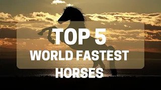 5 most famous horses in the world |world's fastest horse in history.