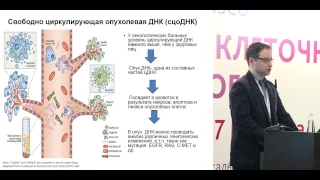 Возможности молекулярно-генетического тестирования на основе плазмы крови