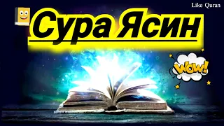 Сура Ясин, слушаете в любое время суток. #quran #yaseen #yasin #коран #ясин