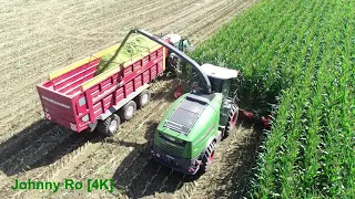 Maishäckseln 2020 Teil 1 mit LU Oexle mit Fendt Katana 65, Claas Jaguar 960, LU Loritz mit Fendt[4K]