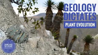 Geology & Plant Life with Gypsum-Loving Cacti