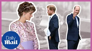 How would Princess Diana have reacted to Prince Harry - Prince William 'rift'?