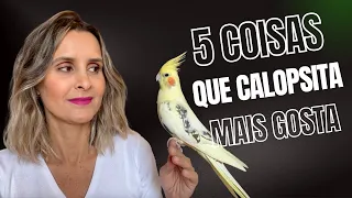 TOP 5 COISAS QUE CALOPSITA GOSTA DE FAZER!