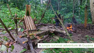 a jungle survival adventure in Guyana