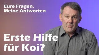 Wie hilft man einem kranken Koi? -  Kundenfragen & Antworten