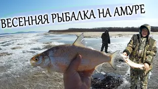 Весенняя рыбалка на Амуре. Щука. Карась. Ленок. Удача. ч.1.