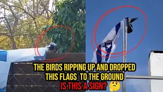 😱 The Moments The Bird Released The Flying Israeli Flag, Is this a sign?