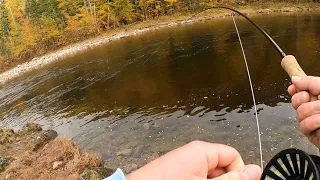 15lb Salmon, Margaree Fall Fishing 2022