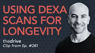 What a DEXA can show you about longevity | Peter Attia