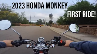 2023 Honda Monkey First Ride!