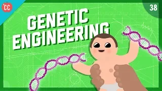 Changing the Blueprints of Life - Genetic Engineering: Crash Course Engineering #38