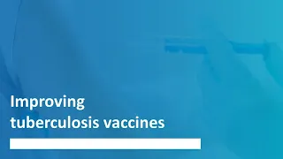 Improving TB vaccines - Trinity Research Stories