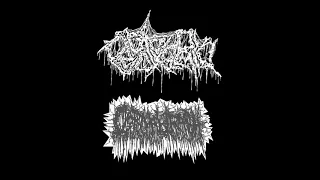 Endotoxaemia - Split with Carnal Trash