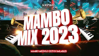 MAMBO MIX 2023 🔥 - (Vagabundo, El Merengue, Diva Virtual, Soy Peor, Pepas, Dakiti, Despecha, Omega)