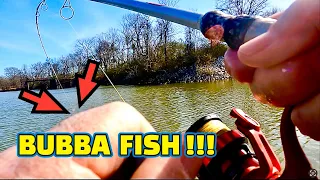 Fishing with Live Minnows on the Tennessee River ! ! !