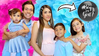 OFFICIAL GENDER REVEAL!! | Jancy Family