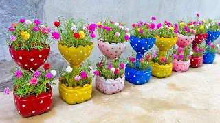 Ideas to recycle plastic bottles to make beautiful two-tiered flower pots