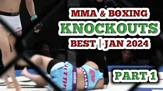 MMA & Boxing Knockouts, Best Of January 2024 | Part 1