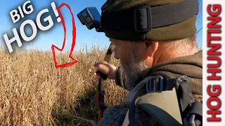 Traditional Bow Hunting Hogs - Marsh Madness Pt. 2