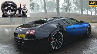 1000HP Bugatti Veyron - Forza Horizon 5 - Thrustmas