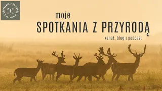 Moje Spotkania z Przyrodą