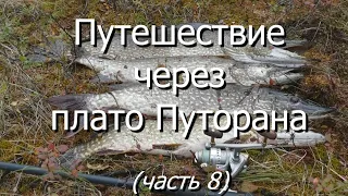 Путешествие через плато Путорана. Часть 8: рыбалка на Маймече.