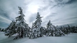 Настоящая зима Сергей Чекалин . красивая музыка