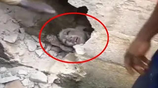 20 Terrifying Videos Caught On Camera