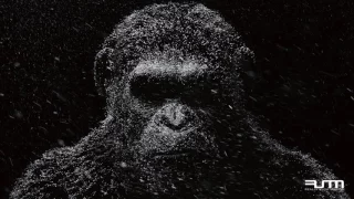 Really Slow Motion & Giant Apes - The Furies (WAR FOR THE PLANET OF THE APES - Trailer Music)